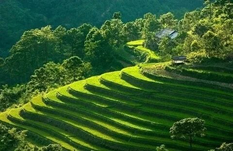 Mẹ đơn thân ở Vĩnh Yên và hành trình tìm lại chính mình cùng Hotspot Matrix