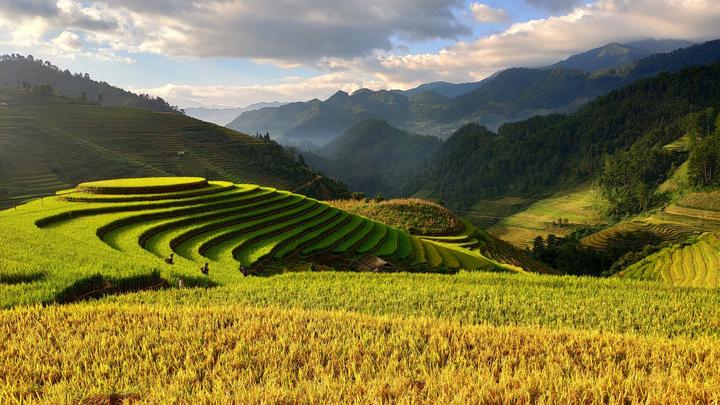 Từ 3 kiểu giày 