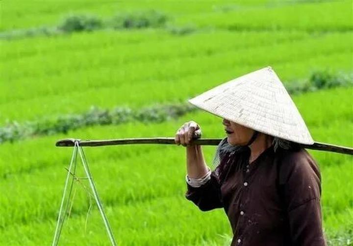 Chuyên gia Hotspot Matrix phân tích: “Nghe bài TRÌNH chưa?” - Thế và marketing video