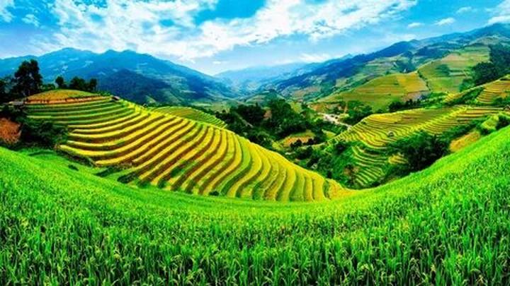 Khởi Nghiệp Thành Công với Hotspot Matrix: Từ Ý Tưởng Đến Thu Nhập Ổn Định